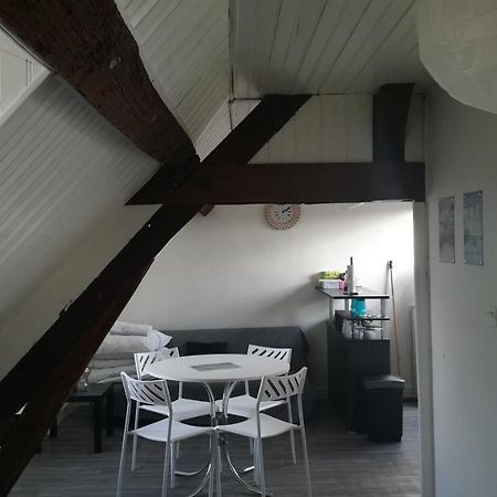 Appartement Spacieux Vue Sur Loire Proche Du Centre Блуа Екстер'єр фото