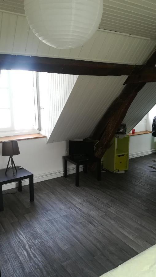 Appartement Spacieux Vue Sur Loire Proche Du Centre Блуа Екстер'єр фото