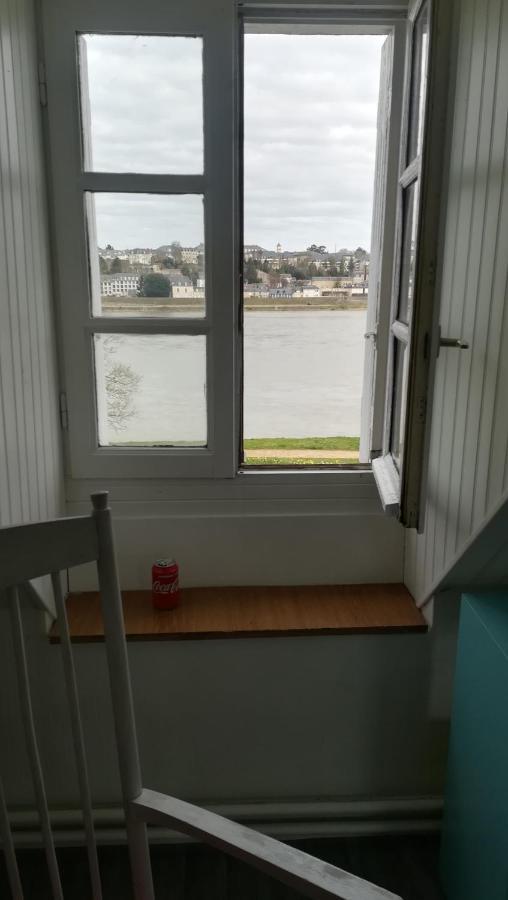 Appartement Spacieux Vue Sur Loire Proche Du Centre Блуа Екстер'єр фото