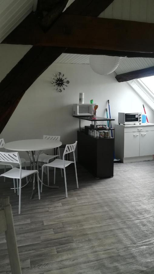 Appartement Spacieux Vue Sur Loire Proche Du Centre Блуа Екстер'єр фото