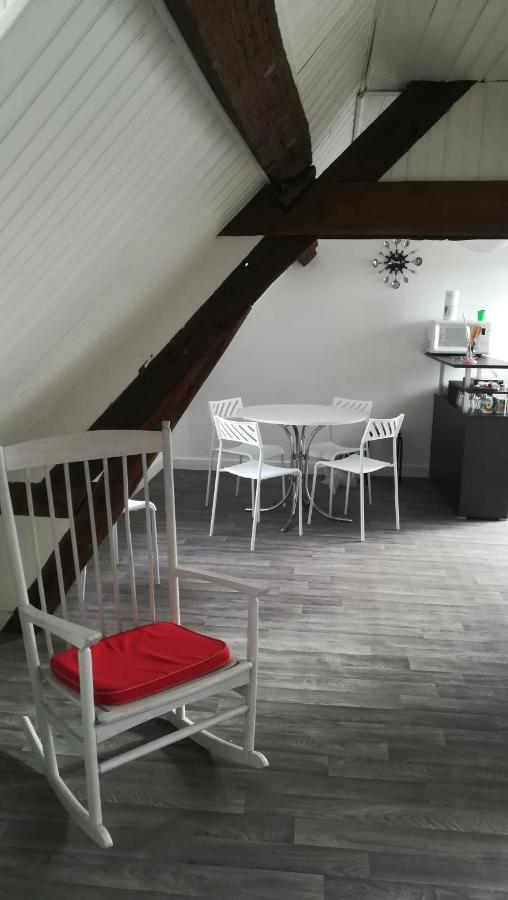 Appartement Spacieux Vue Sur Loire Proche Du Centre Блуа Екстер'єр фото