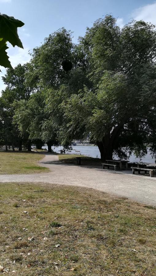 Appartement Spacieux Vue Sur Loire Proche Du Centre Блуа Екстер'єр фото
