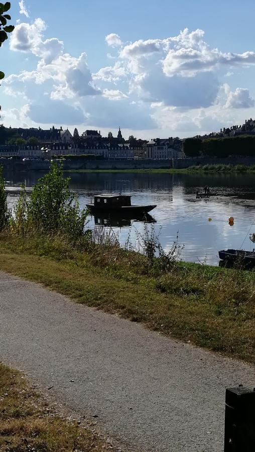 Appartement Spacieux Vue Sur Loire Proche Du Centre Блуа Екстер'єр фото