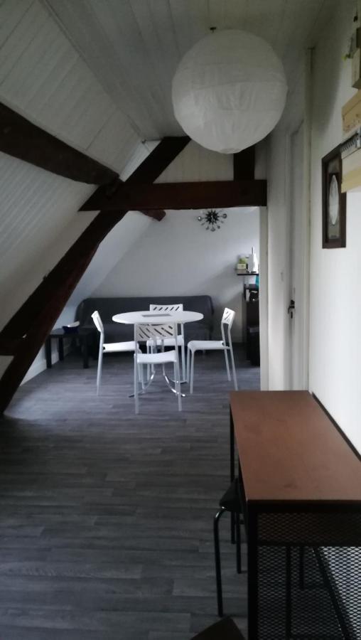 Appartement Spacieux Vue Sur Loire Proche Du Centre Блуа Екстер'єр фото