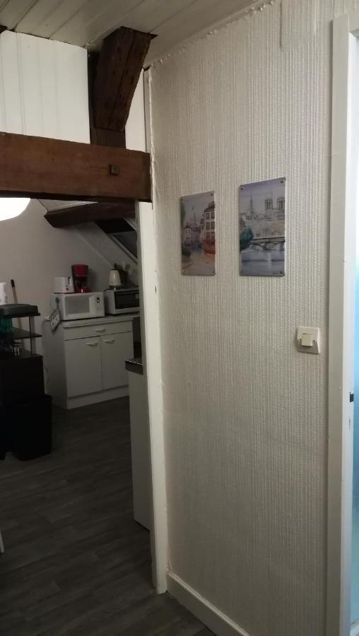 Appartement Spacieux Vue Sur Loire Proche Du Centre Блуа Екстер'єр фото
