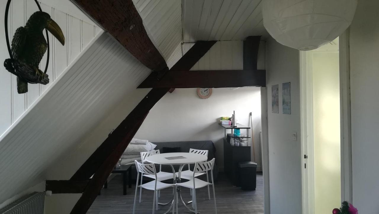 Appartement Spacieux Vue Sur Loire Proche Du Centre Блуа Екстер'єр фото